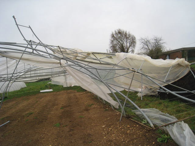 �����������������C���[�W